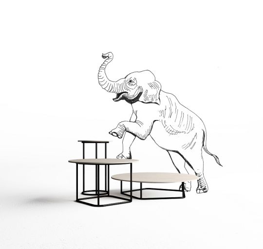 Minottiitalia Circus