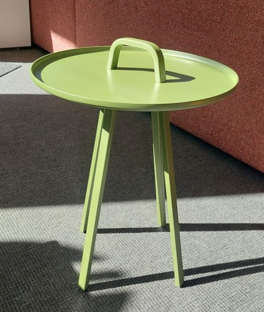 Montis Tor Babua metallic matt gloss Exclusief voor Jan van Beek!