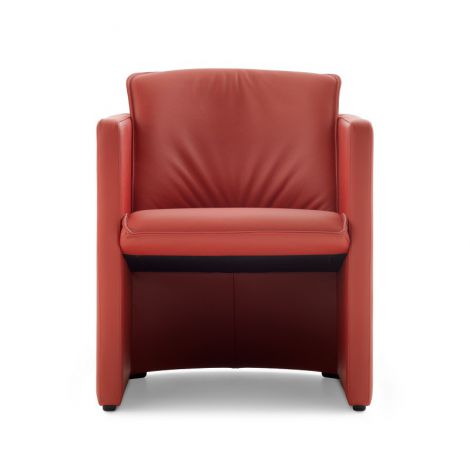 Evidence Saga fauteuil leder