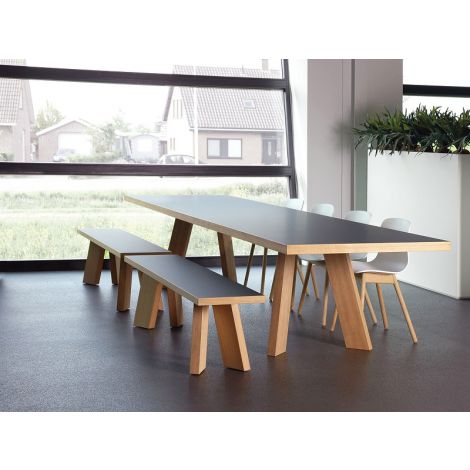 Castelijn TSP Grijs HPL / Eiken fineer