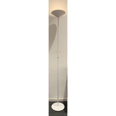 Rotaliana Dry F1 Showroommodel